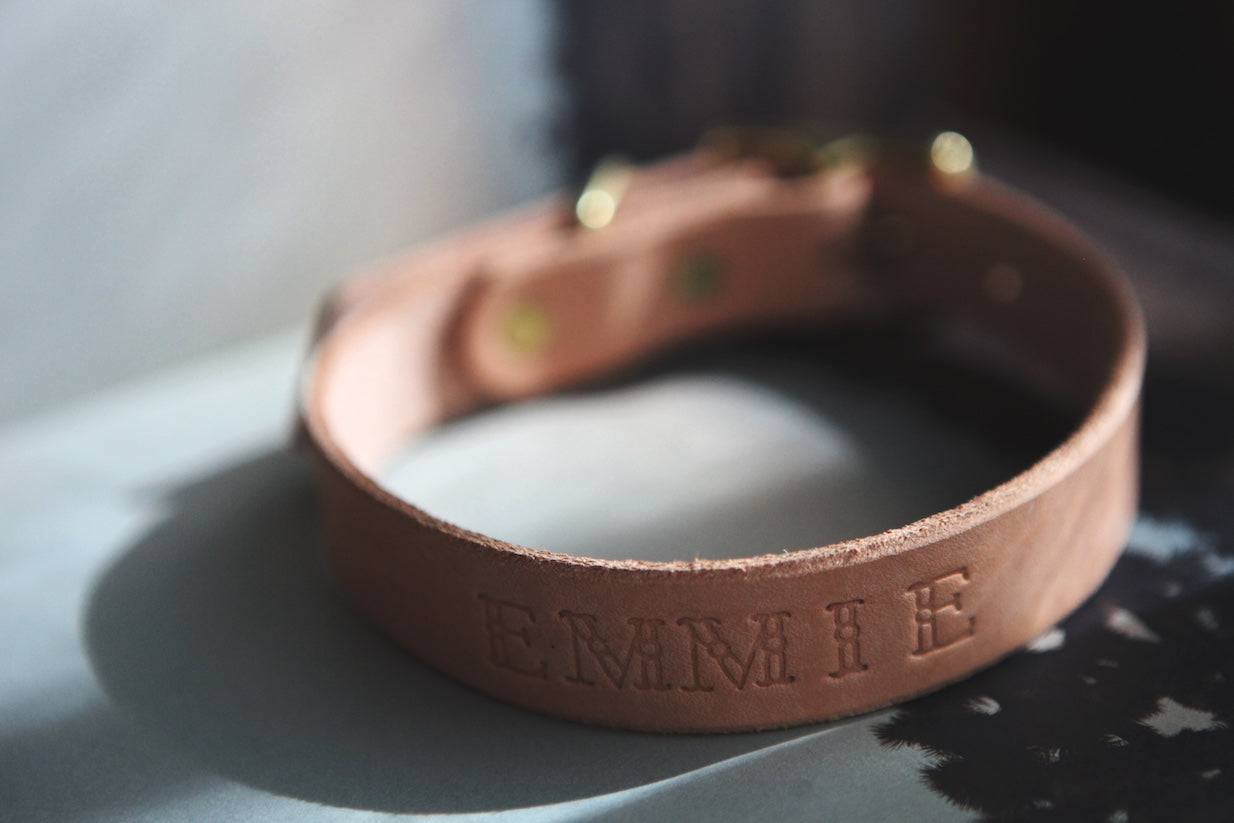 The Well-Made Dog Collar