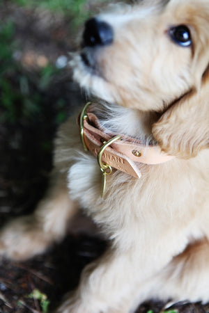 The Well-Made Dog Collar